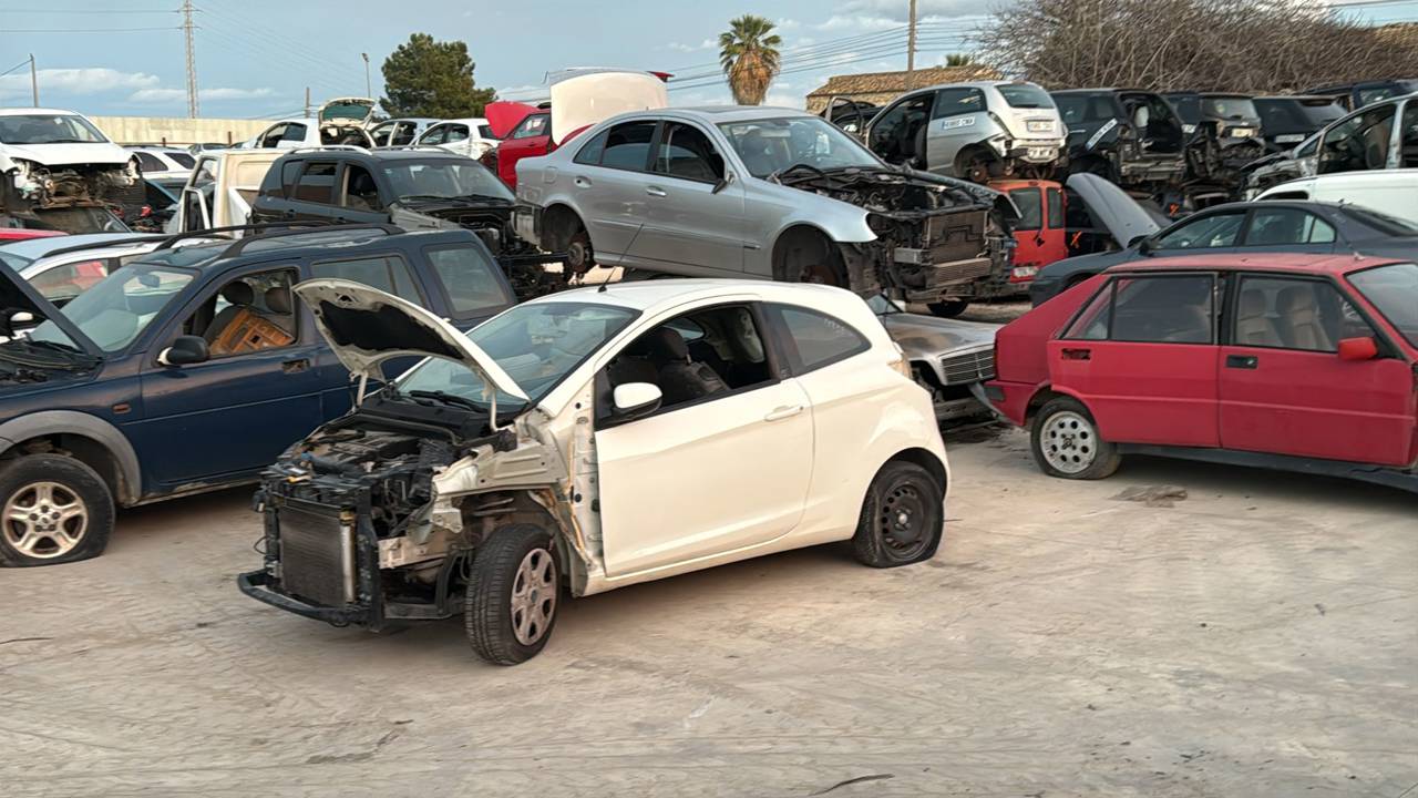 Imagen del vehículo FORD KA (CCU)