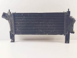 INTERCOOLER 144615X00A NISSAN PATHFINDER (R51) Autodesguaces Alicante