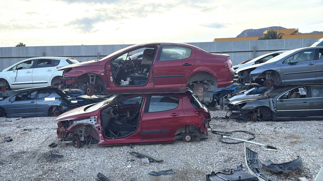 Imagen del vehículo PEUGEOT 308