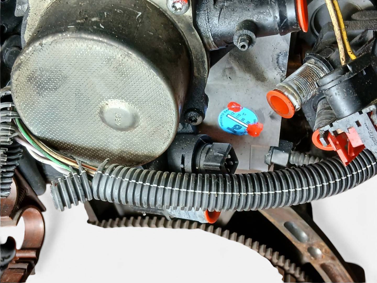 Foto 6 de Motor Completo Renault Kangoo (f/kc0) (2003–2010)
