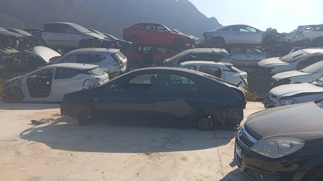 Imagen del vehículo NISSAN PRIMERA BERLINA (P12)