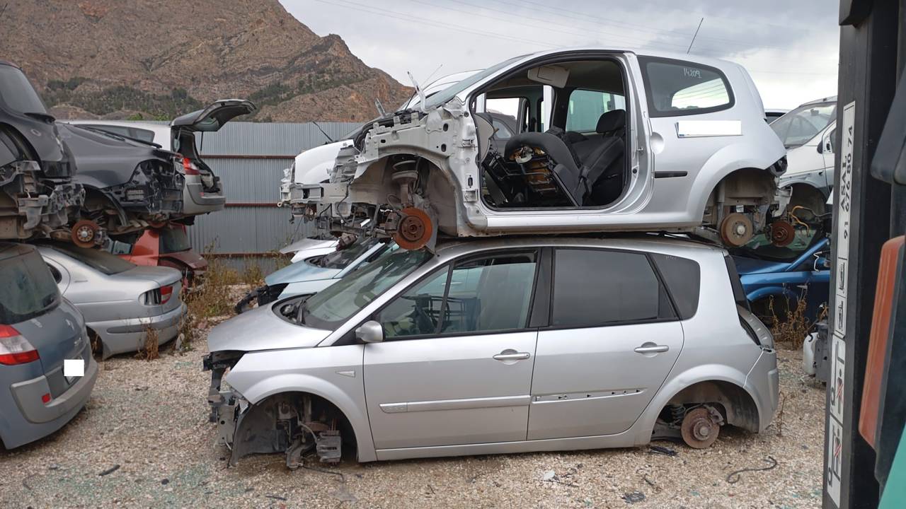 Imagen del vehículo RENAULT SCENIC II