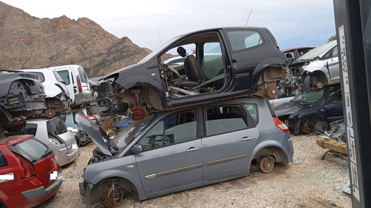 Imagen del vehículo RENAULT SCENIC II