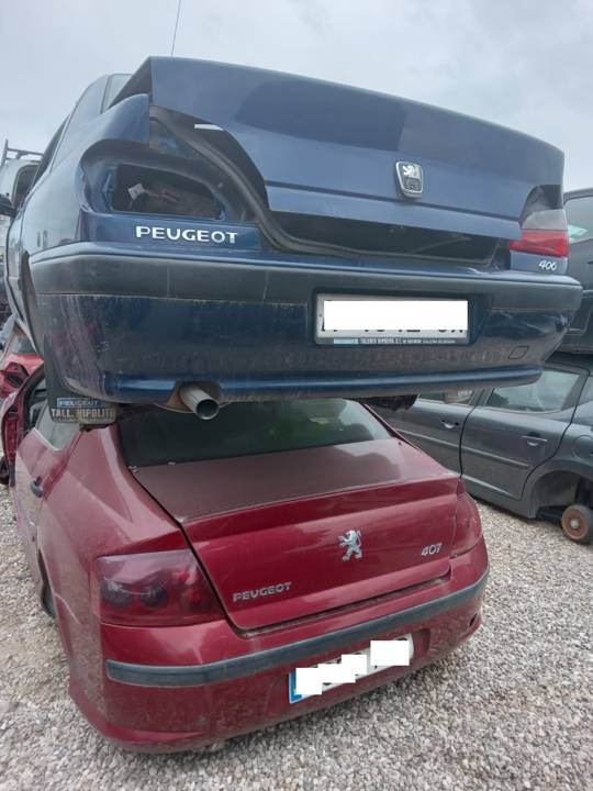 Imagen del vehículo PEUGEOT 406 BERLINA (S1/S2)