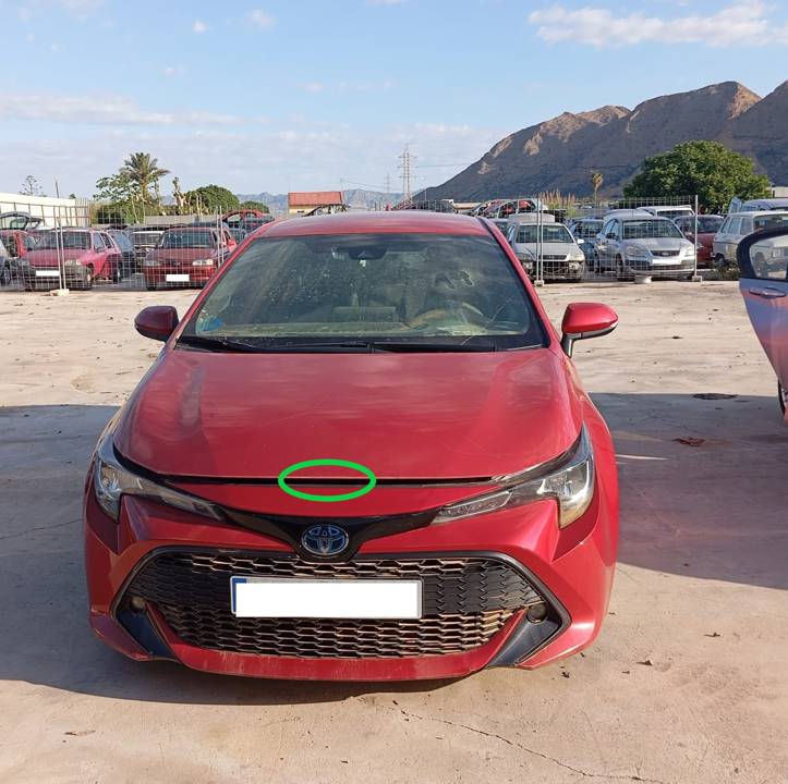 CERRADURA CAPO