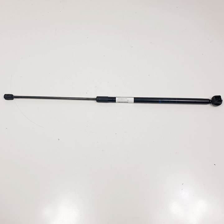 AMORTIGUADORES CAPO - 654710003R - RENAULT - MEGANE III COUPE