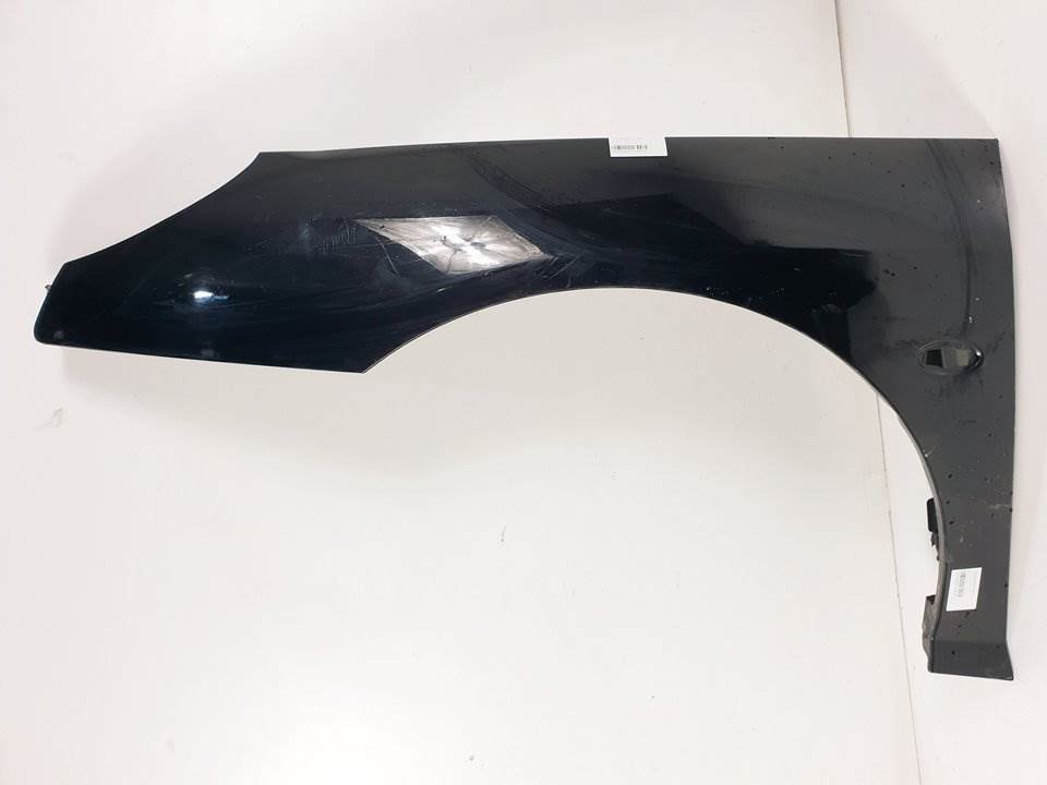 Kotflügel vorne links - PEUGEOT - 407