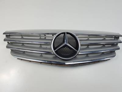 REJILLA DELANTERA A1698800783 MERCEDES CLASE B (W245) Autodesguaces Alicante