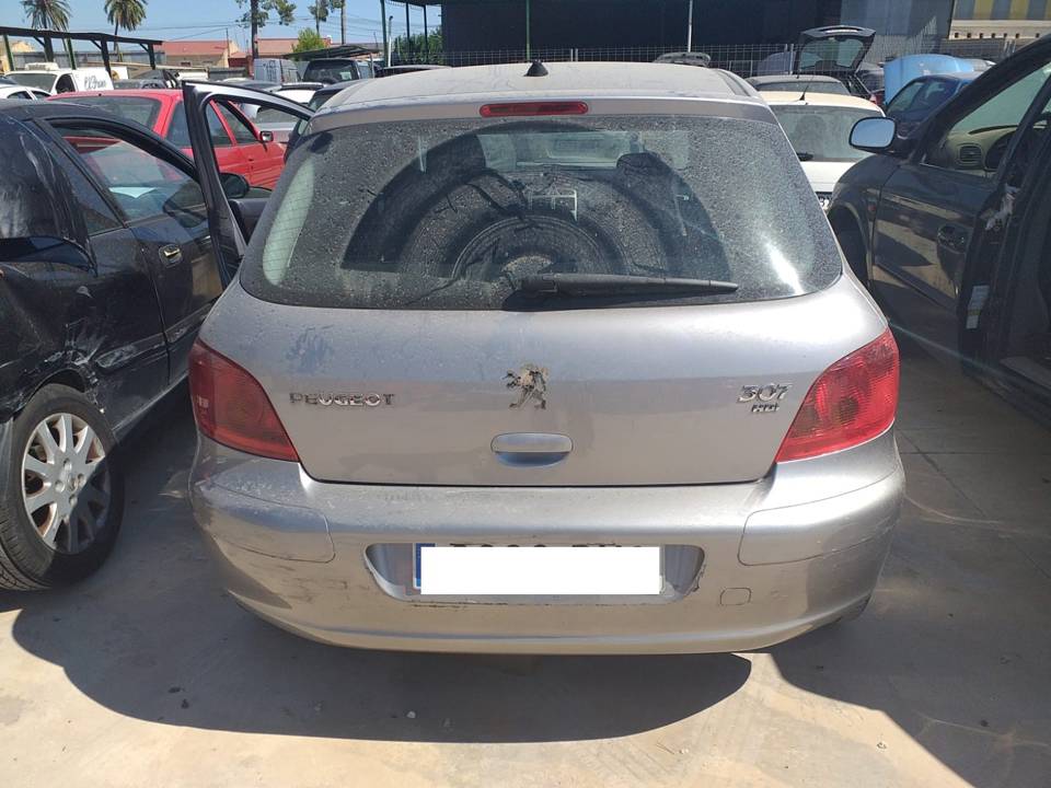 Imagen del vehículo PEUGEOT 307 (S1)