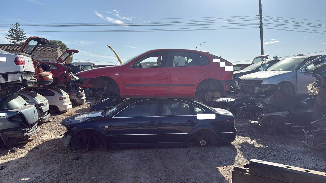 Imagen del vehículo VOLKSWAGEN PASSAT BERLINA (3B3)
