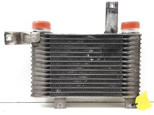 INTERCOOLER SSANGYONG REXTON (Y200) Autodesguaces Alicante