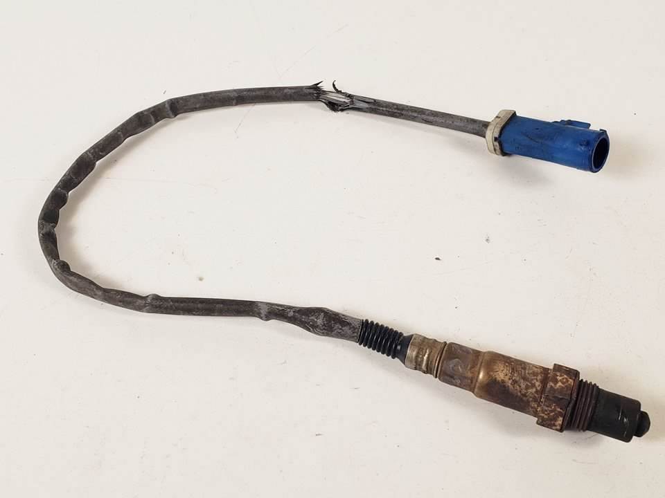 SONDA LAMBDA - 5M519G44423 - FORD - FOCUS C-MAX (CAP)
