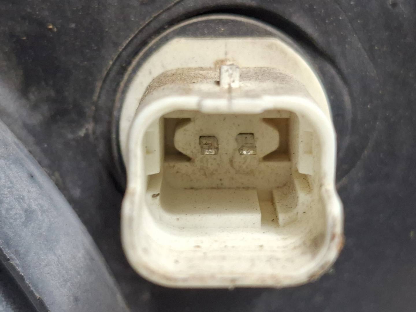 Foto 5 de Faro Izquierdo Citroen Xsara Picasso (1999–2011)