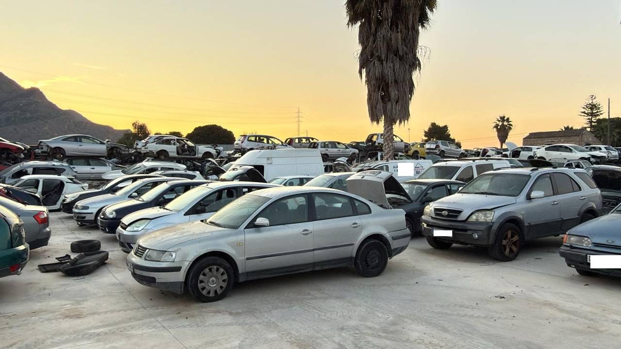 Imagen del vehículo VOLKSWAGEN PASSAT BERLINA (3B2)