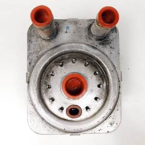 ENFRIADOR ACEITE MOTOR 038117021A AUDI A4 AVANT (8E) Autodesguaces Alicante