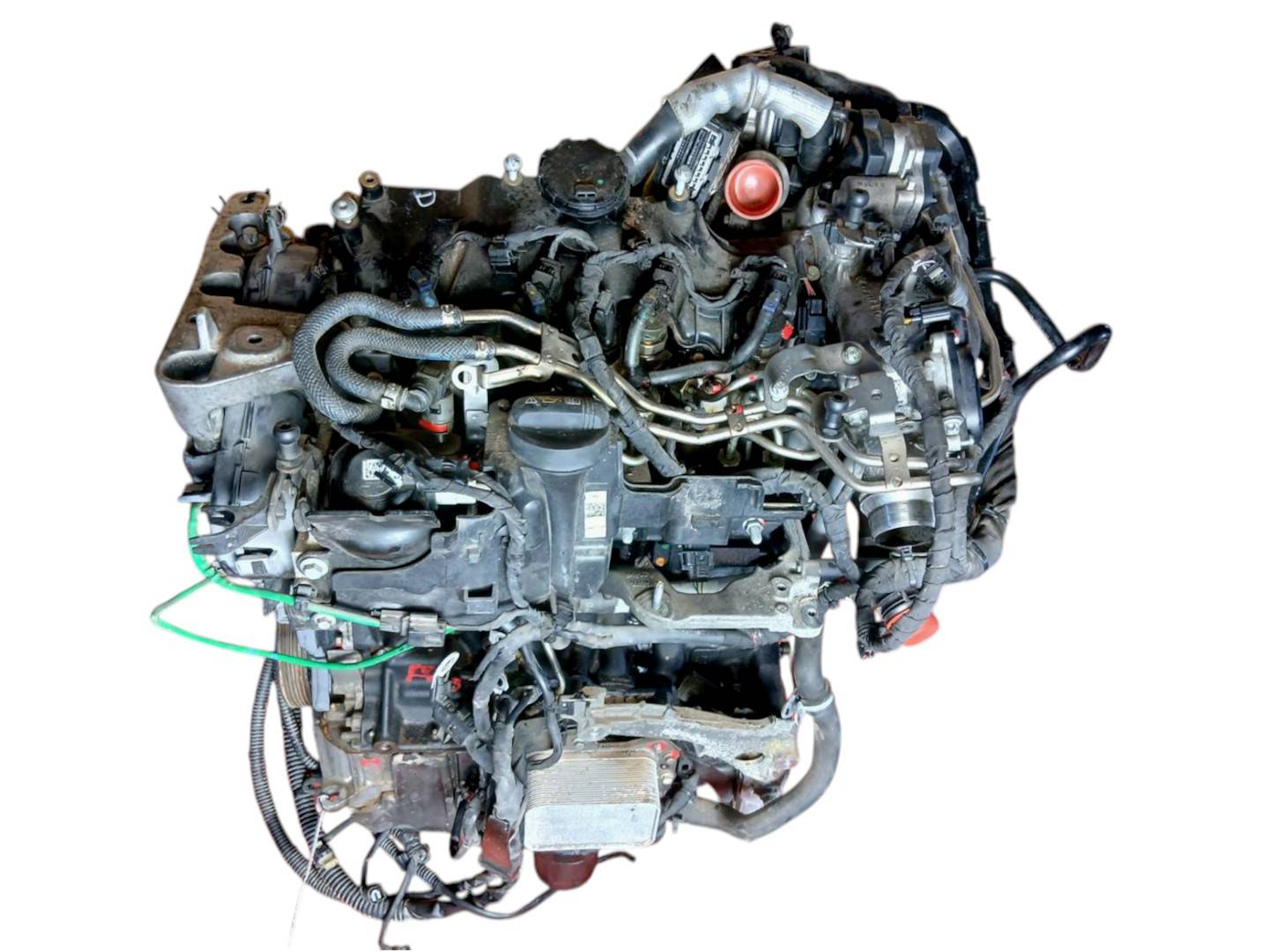 Foto 7 de Motor Completo Renault Kangoo (f/kc0) (2003–2010)