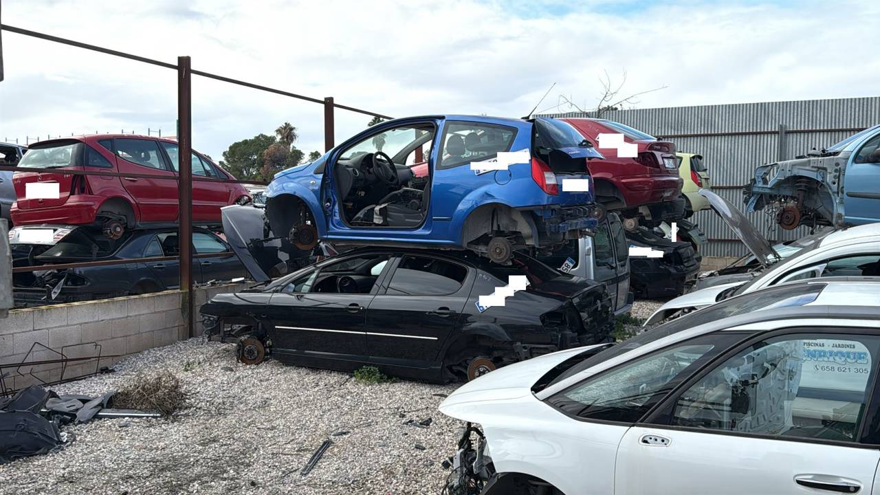 Imagen del vehículo PEUGEOT 407