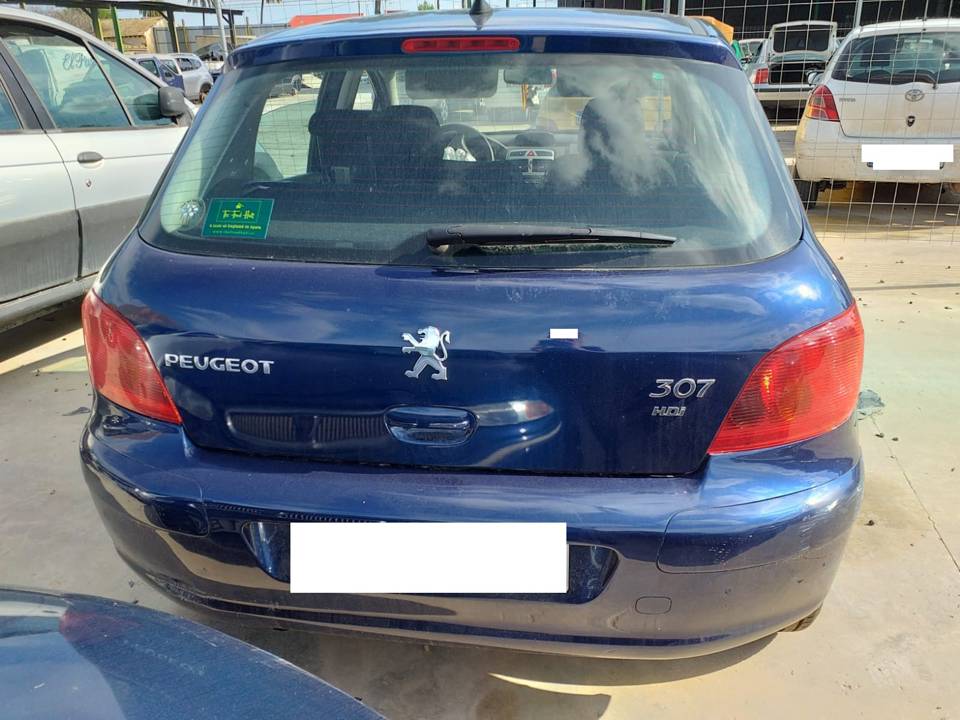 Imagen del vehículo PEUGEOT 307 (S1)