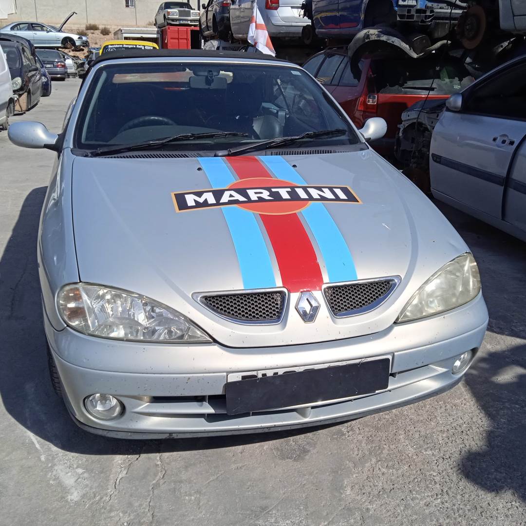 RENAULT MEGANE I FASE 2 CABRIOLET (EA..) (1999 - ...)