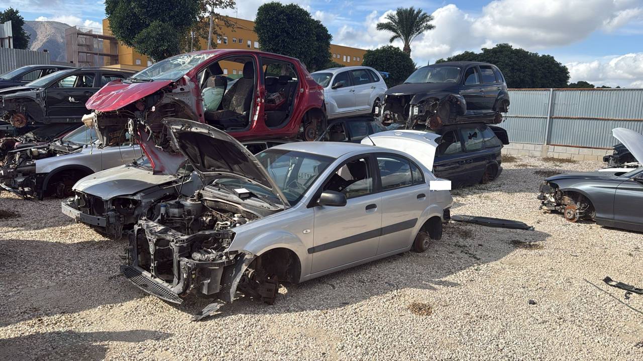 Imagen del vehículo KIA