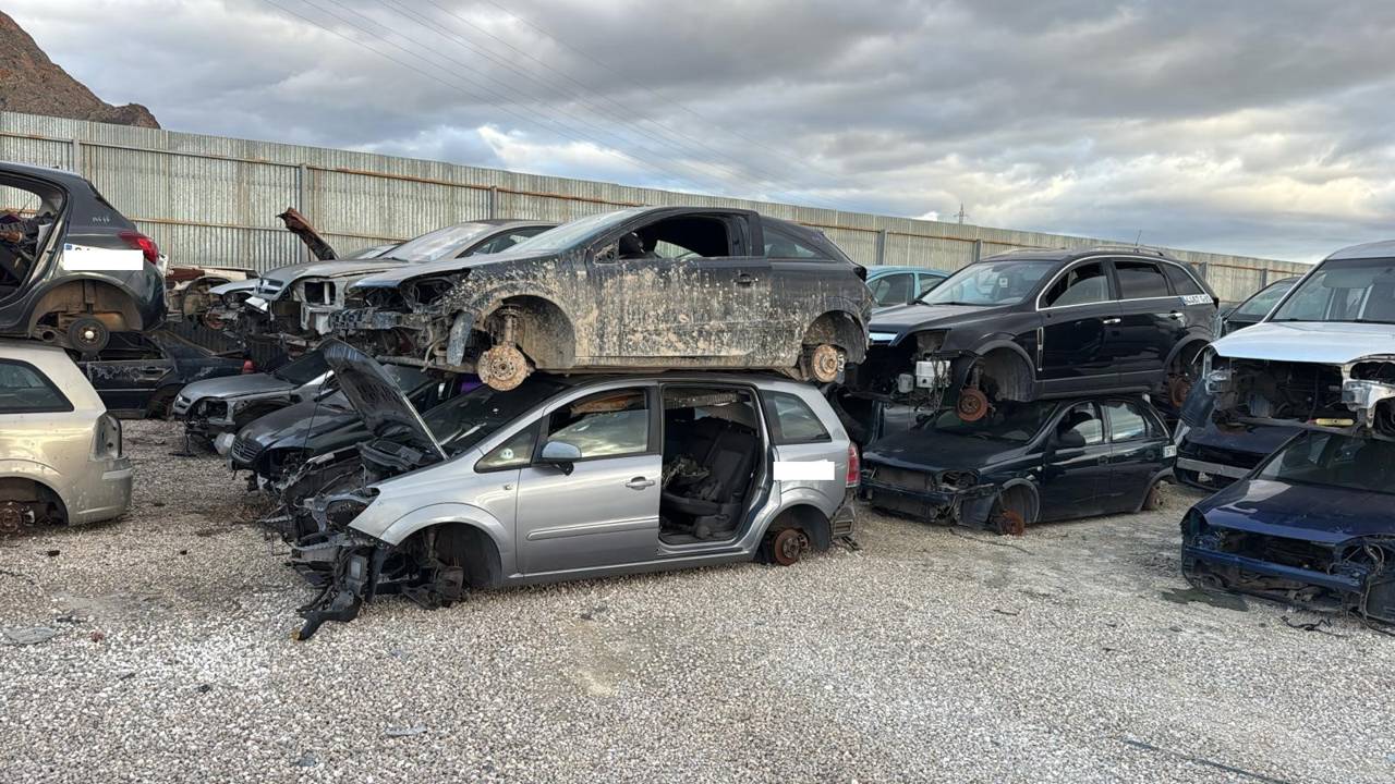 Imagen del vehículo OPEL ZAFIRA B