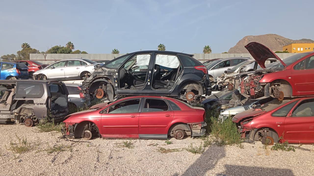 Imagen del vehículo CITROEN C4 PICASSO