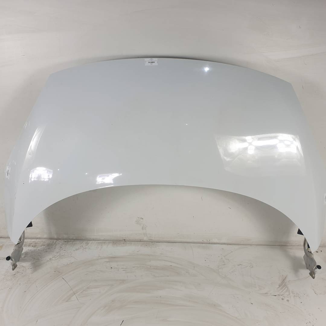 CAPOT - RENAULT - SCENIC III (JZ)