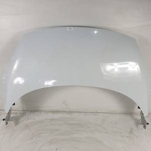 CAPOT RENAULT SCENIC III (JZ) Autodesguaces Alicante