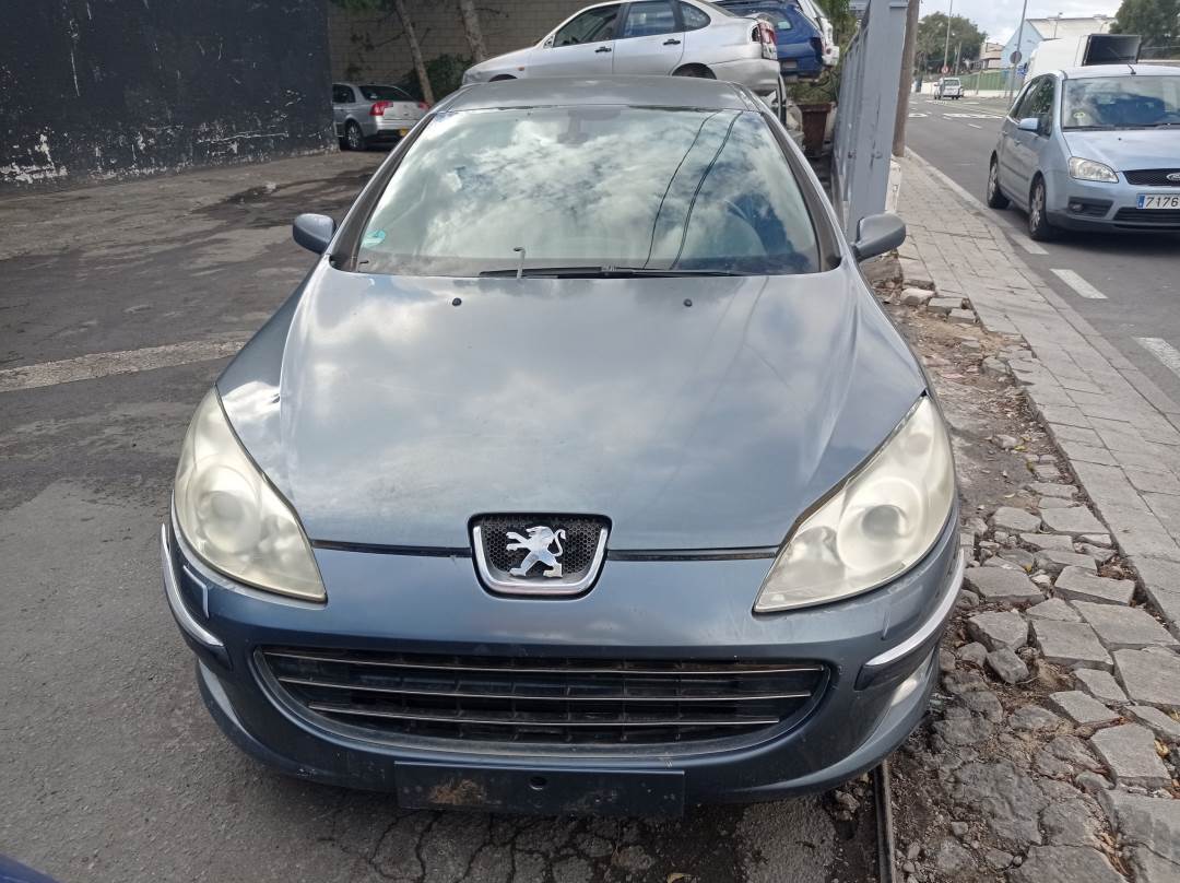 PEUGEOT 407 (2004 - 2011)