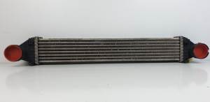 INTERCOOLER A1695000900 MERCEDES CLASE B (W245) Autodesguaces Alicante