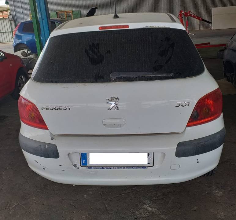Imagen del vehículo PEUGEOT 307 (S1)