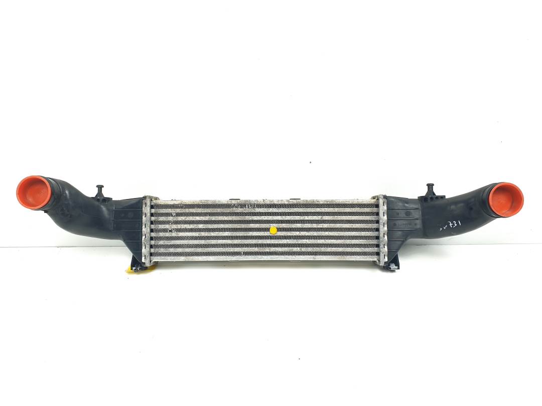 INTERCOOLER - A2025001100 - MERCEDES - CLASE C (W202) BERLINA