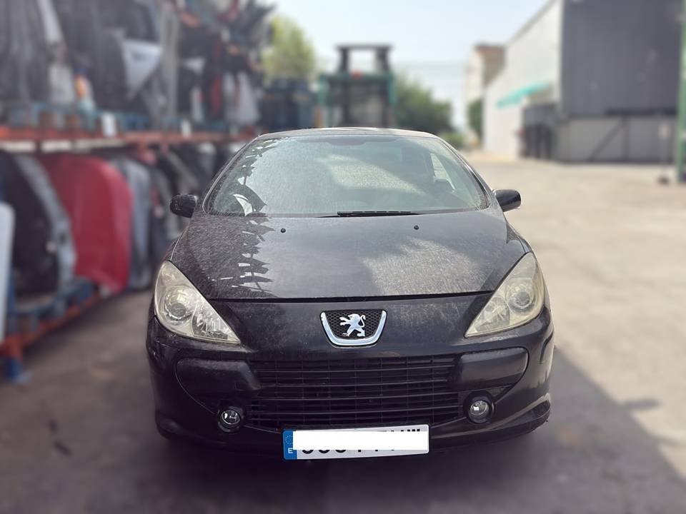 Imagen del vehículo PEUGEOT 307 CC (S2)