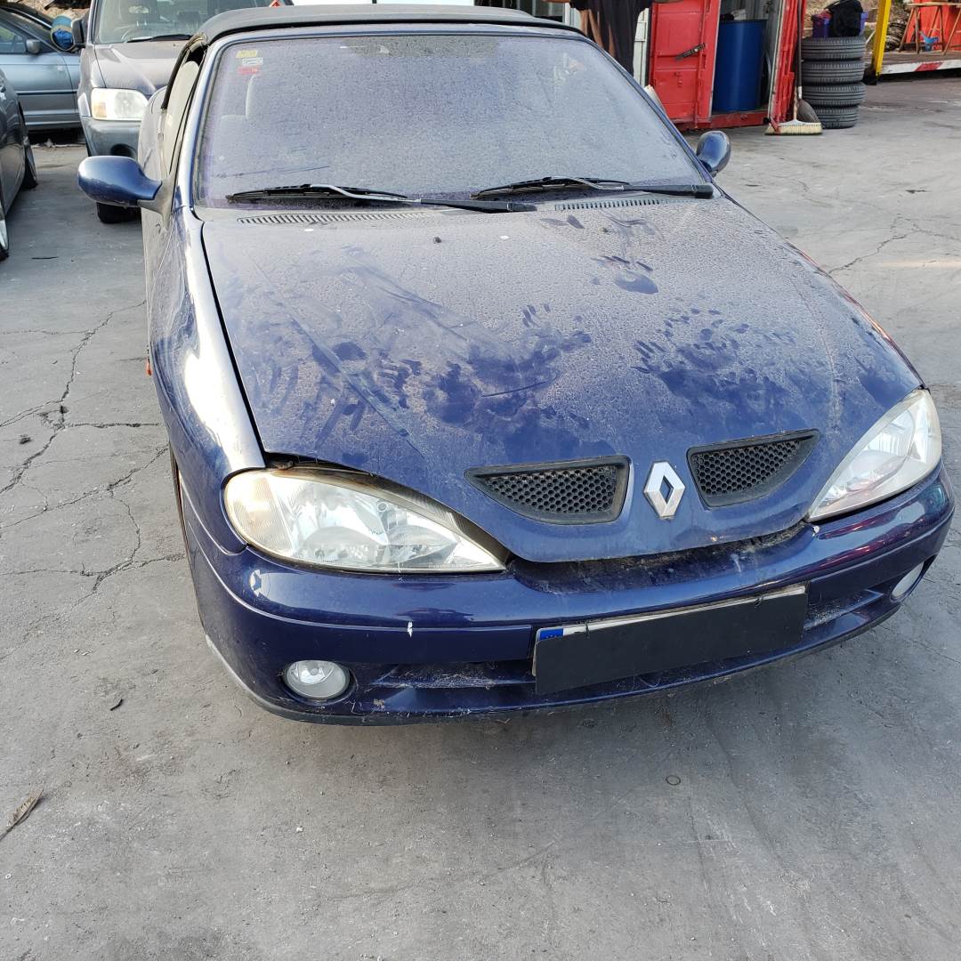 RENAULT MEGANE I FASE 2 CABRIOLET (EA..) (1999 - ...)
