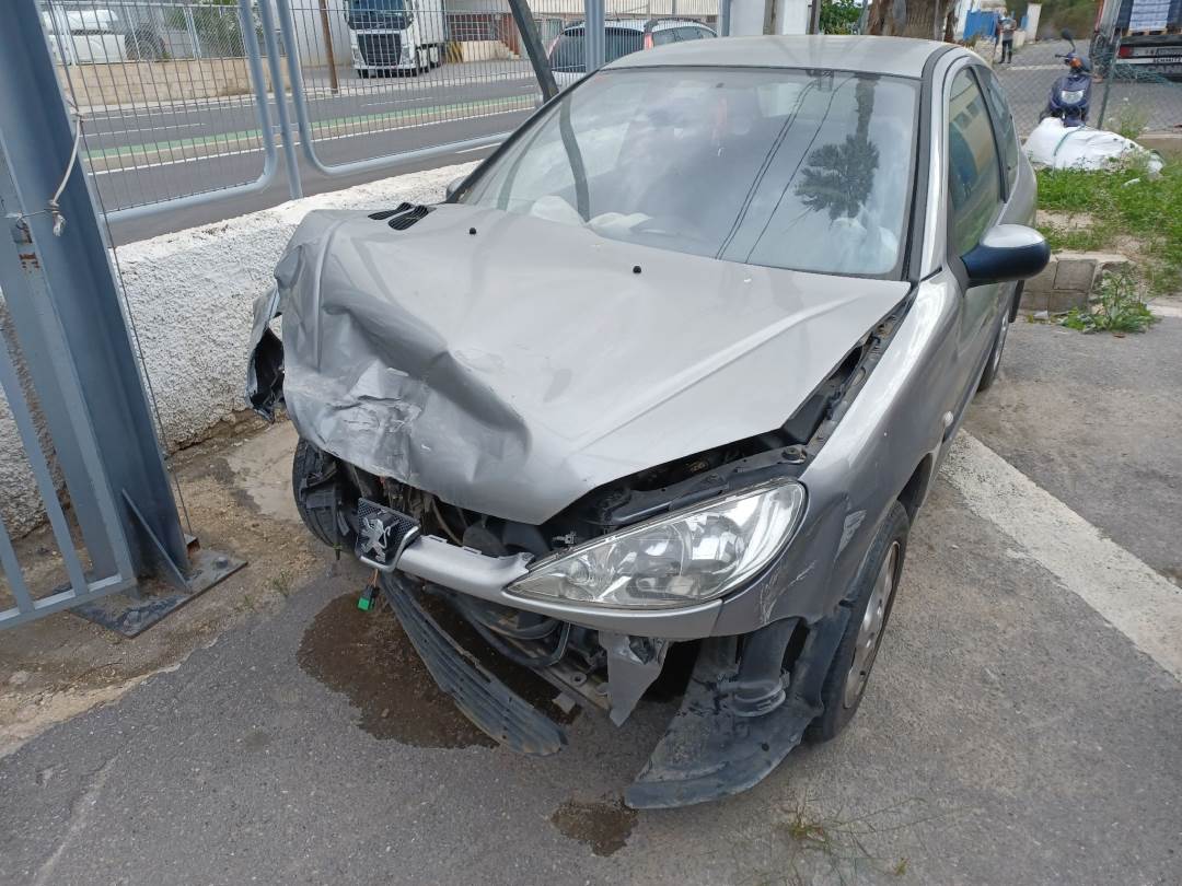 PEUGEOT 206 BERLINA (1998 - 2010)