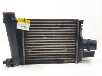 INTERCOOLER 144965154R DACIA DOKKER (X67,K67) Autodesguaces Alicante
