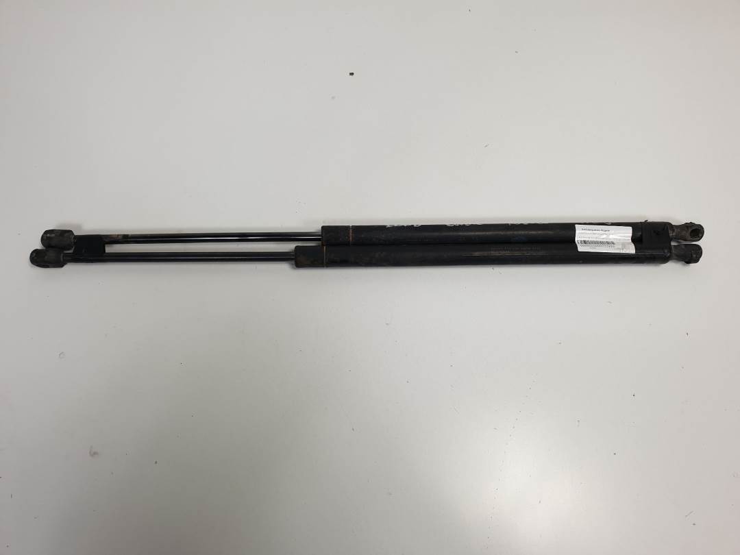 AMORTIGUADORES MALETERO / PORTON - 0251WZ - LAND ROVER - RANGE ROVER SPORT (L320)