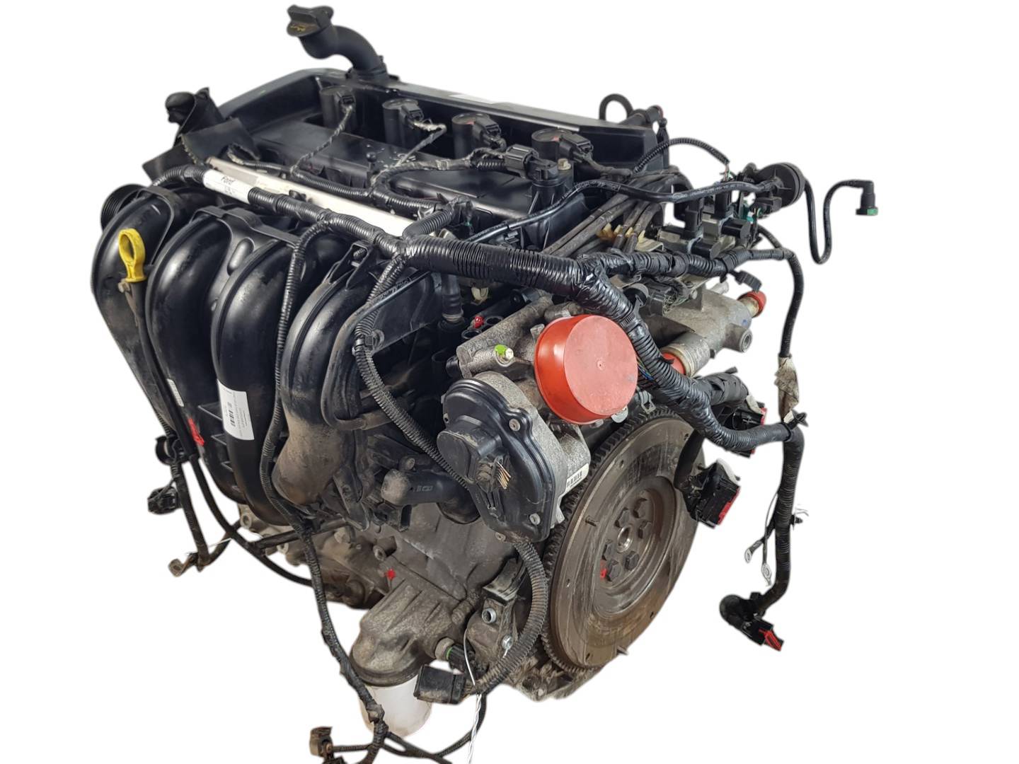 Moteur complet - QQDB - FORD - FOCUS C-MAX (CAP)