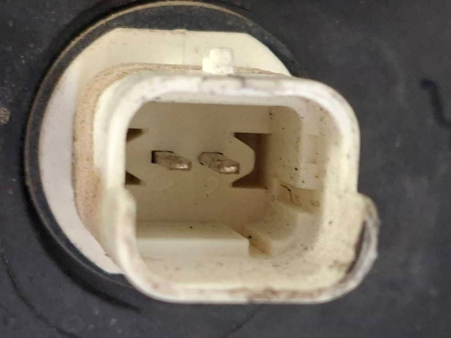 Foto 8 de Faro Izquierdo Citroen Xsara Picasso (1999–2011)