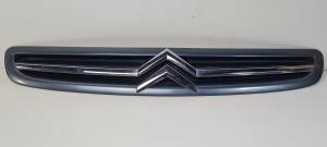 REJILLA DELANTERA 9650059377 CITROEN XSARA PICASSO Autodesguaces Alicante