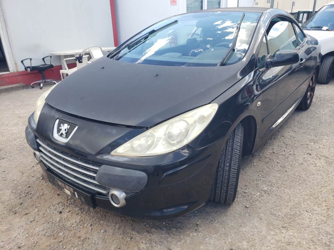 PEUGEOT 307 CC (S2) (2005 - 2009)