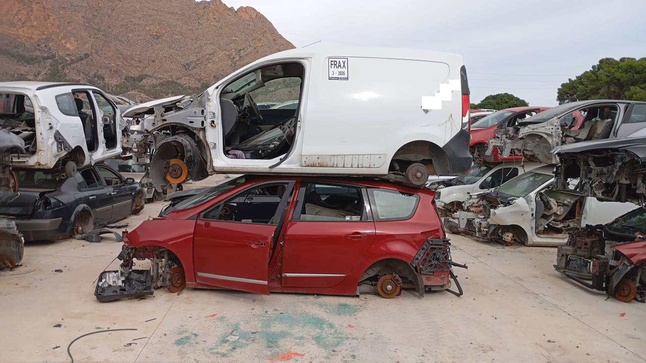 Imagen del vehículo RENAULT SCENIC III