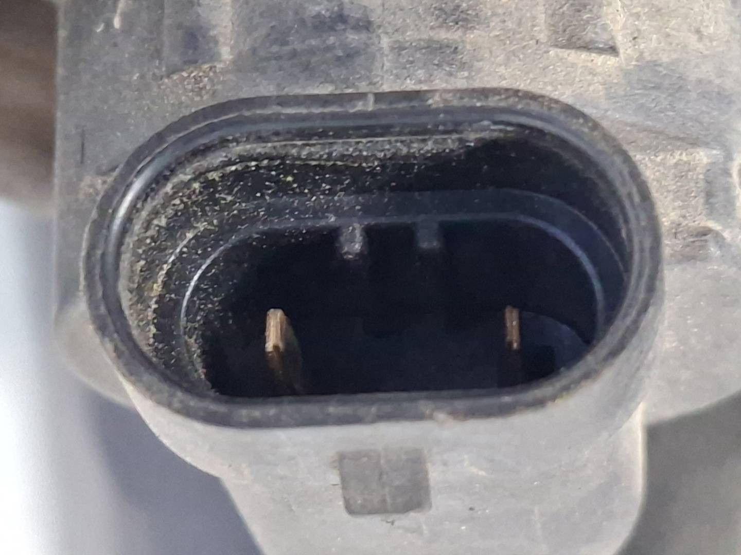 Foto 4 de Faro Derecho BMW Serie 3 Cabrio (e46) (2000–2007)