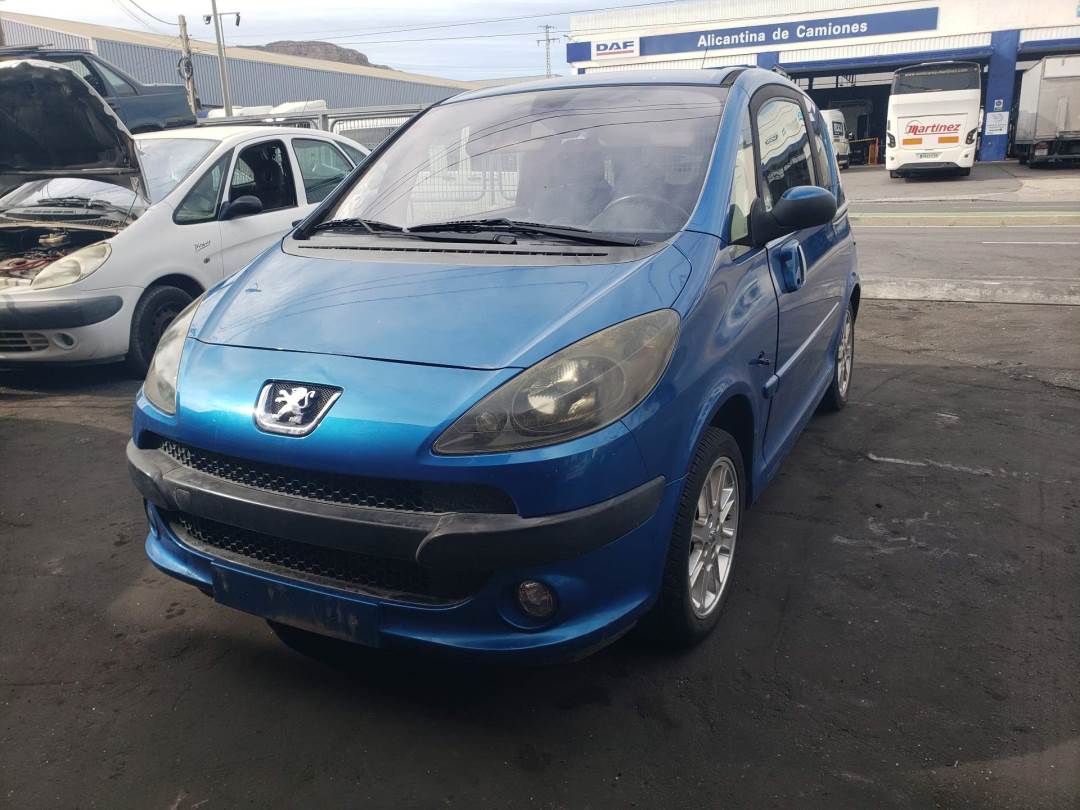 PEUGEOT 1007 (2005 - 2010)
