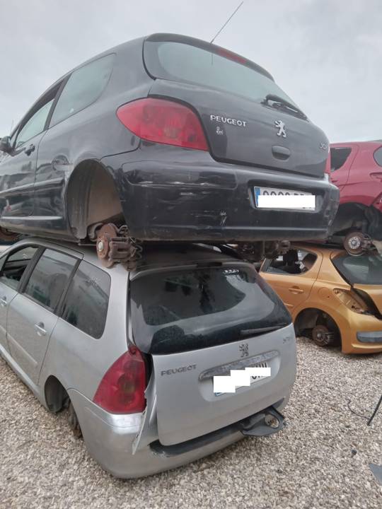 Imagen del vehículo PEUGEOT 307 BREAK / SW (S1)