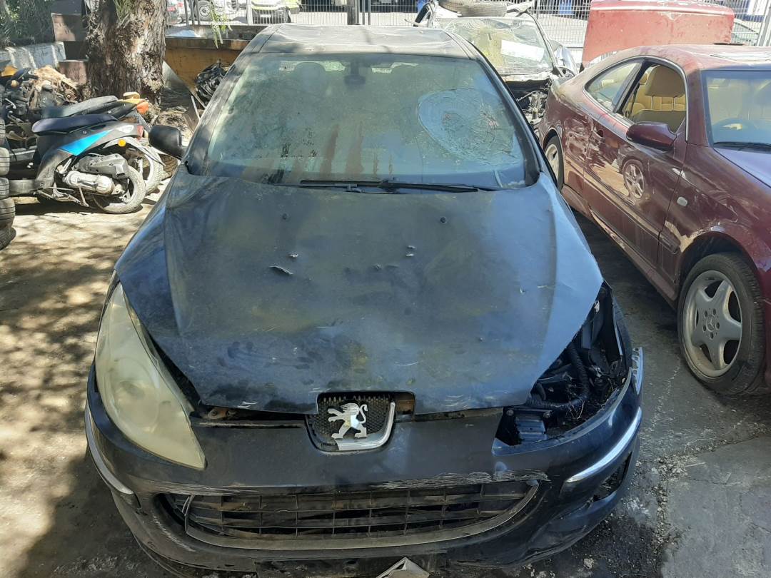 PEUGEOT 407 (2004 - 2011)
