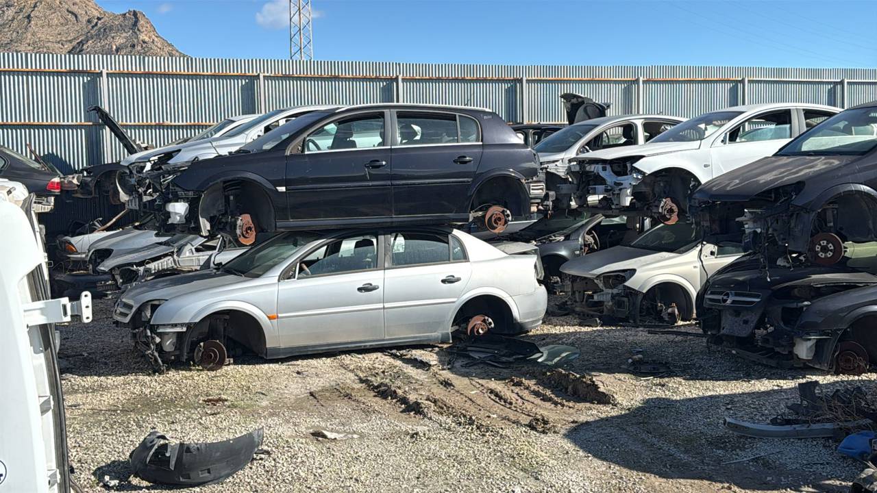 Imagen del vehículo OPEL SIGNUM