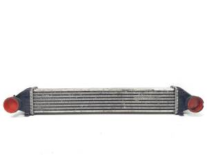INTERCOOLER A1695000000 MERCEDES CLASE B (W245) Autodesguaces Alicante