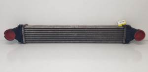 INTERCOOLER A1695000000 MERCEDES CLASE A (W169) Autodesguaces Alicante