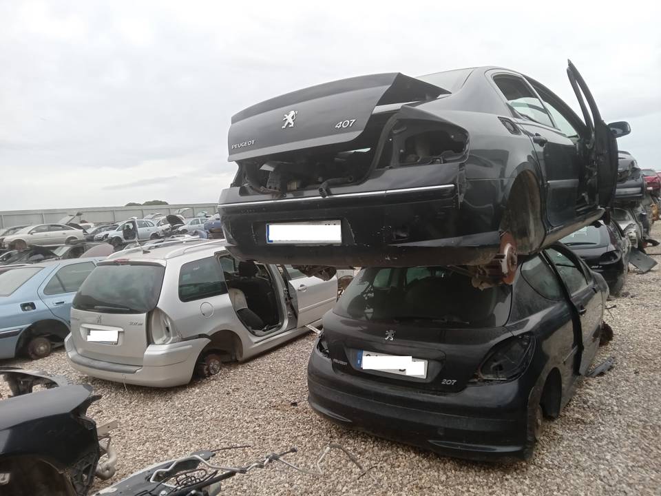 Imagen del vehículo PEUGEOT 407
